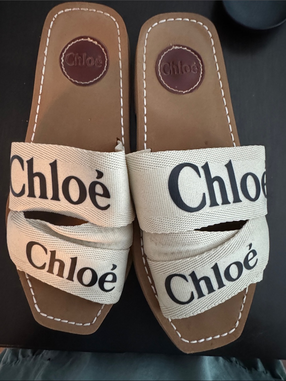 Chloé Cream Canvas Logo Slide Sandals